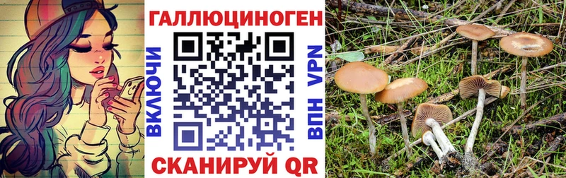 Галлюциногенные грибы мицелий  Купить закладки  Осинники 